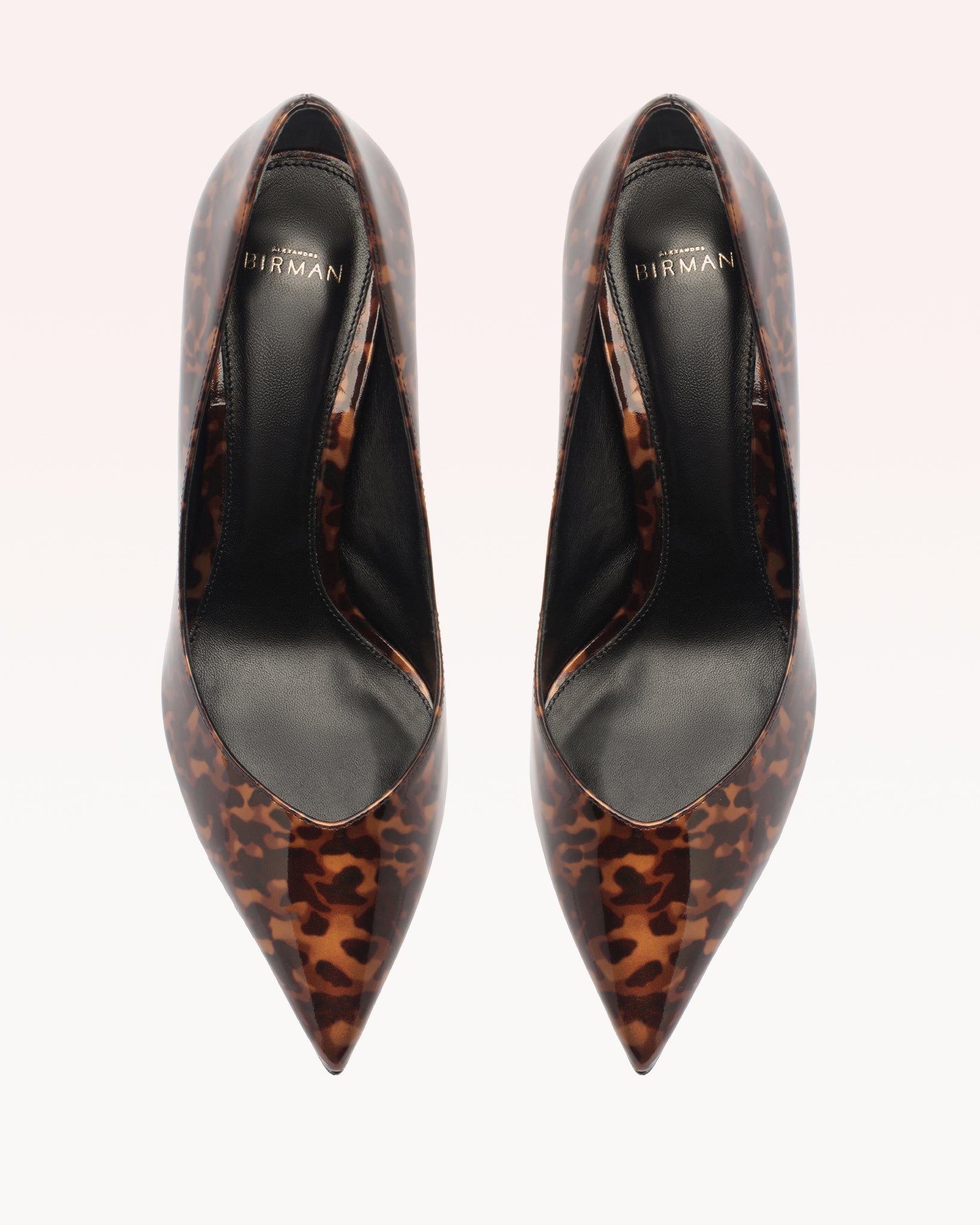 Frenchie Pump Nut - Image 5